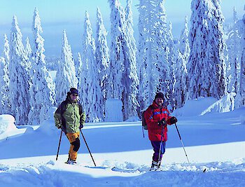 Winter im Bayerischen Wald